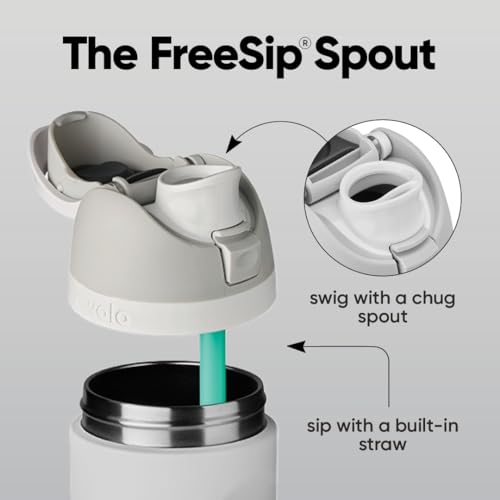 Owala FreeSip Stainless Steel Water Bottle 24 oz Blue (Blue Jay)