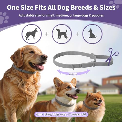 5 Packs Flea and Tick Collar for Dogs, Flea Collar for 40-Month Protection | 5 Pack Flea Collar for Dogs Waterproof&Adjustable Flea and tick Prevention Collar for Small Medium Large Dogs & Puppies, Grey