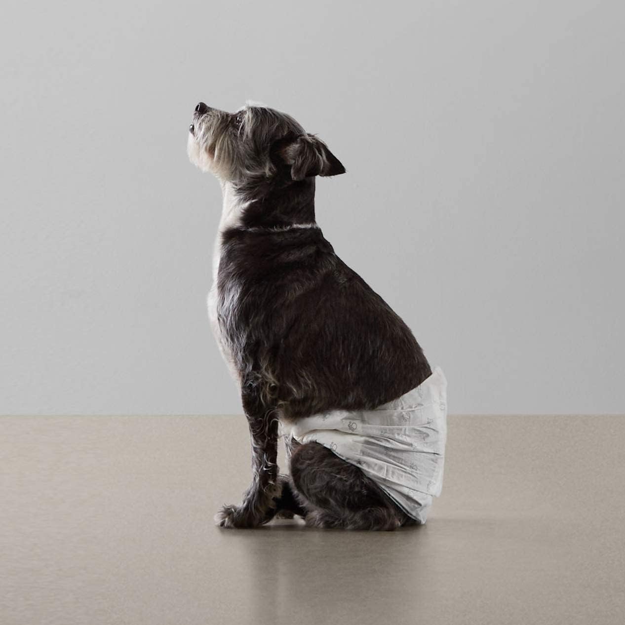 Amazon Basics Absorbent, Leakproof Male Dog Wrap Disposable Diapers with