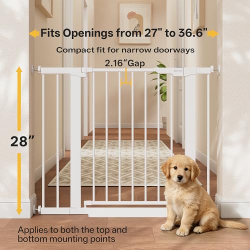 InnoTruth 27-36.6 in Wide Baby Gate for Stairs and Doorways, White | Indoor Metal Dog Gate for Pets, Auto Close 2 Way Swing Walk Through Door, Double Lock & Y-Bolts, Pressure or Hardware Mount