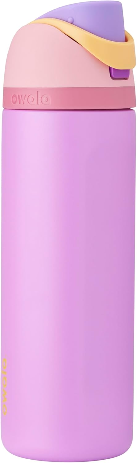 Owala Disney Princess FreeSip Insulated Stainless Steel Water Bottle with