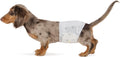 Amazon Basics Absorbent, Leakproof Male Dog Wrap Disposable Diapers with