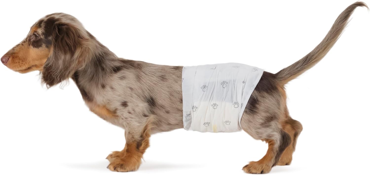 Amazon Basics Absorbent, Leakproof Male Dog Wrap Disposable Diapers with