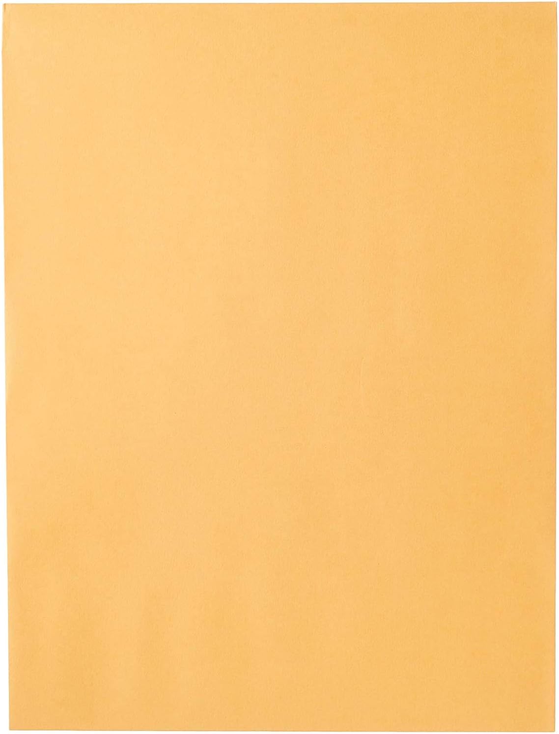 Mead Envelopes, 9" x 12", Clasp Closure, Brown Kraft All-Purpose 24-lb Paper