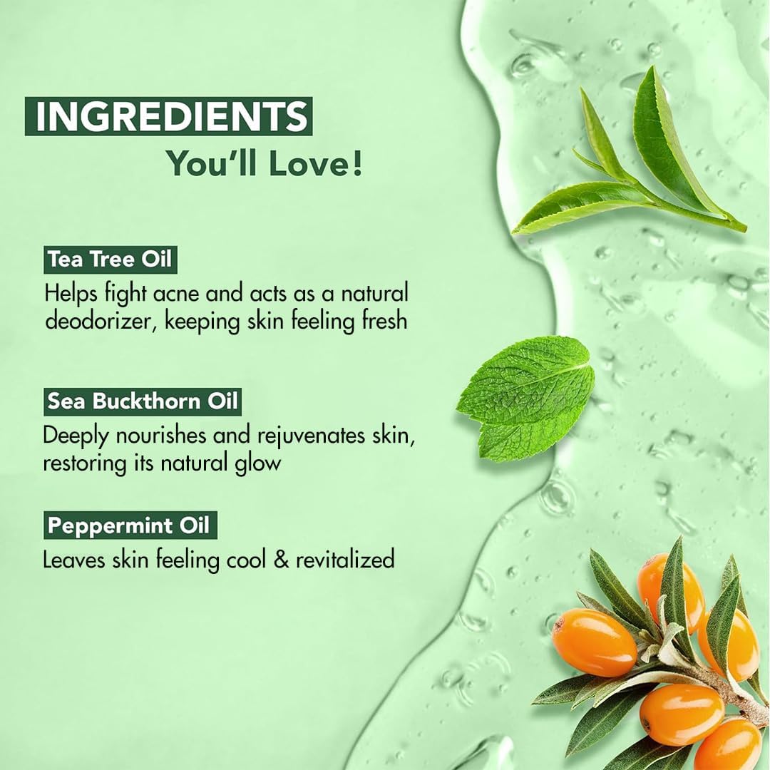 Botanic Hearth Tea Tree Body Wash 16 fl oz (2 Pack) Natural Antifungal & Odor Control Shower Gel for Acne, Athlete‰۪s Foot, Ringworm, Jock Itch, Healthy Skin, Sulfate & Paraben Free, for Men & Women
