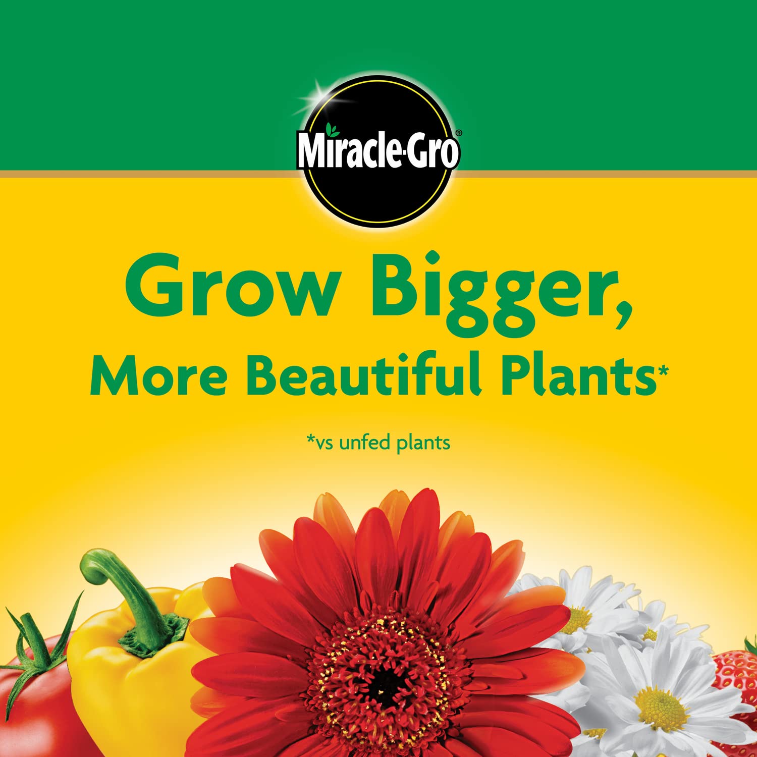 Miracle-Gro Water Soluble All Purpose Plant Food - Fertilizer For All Indoor