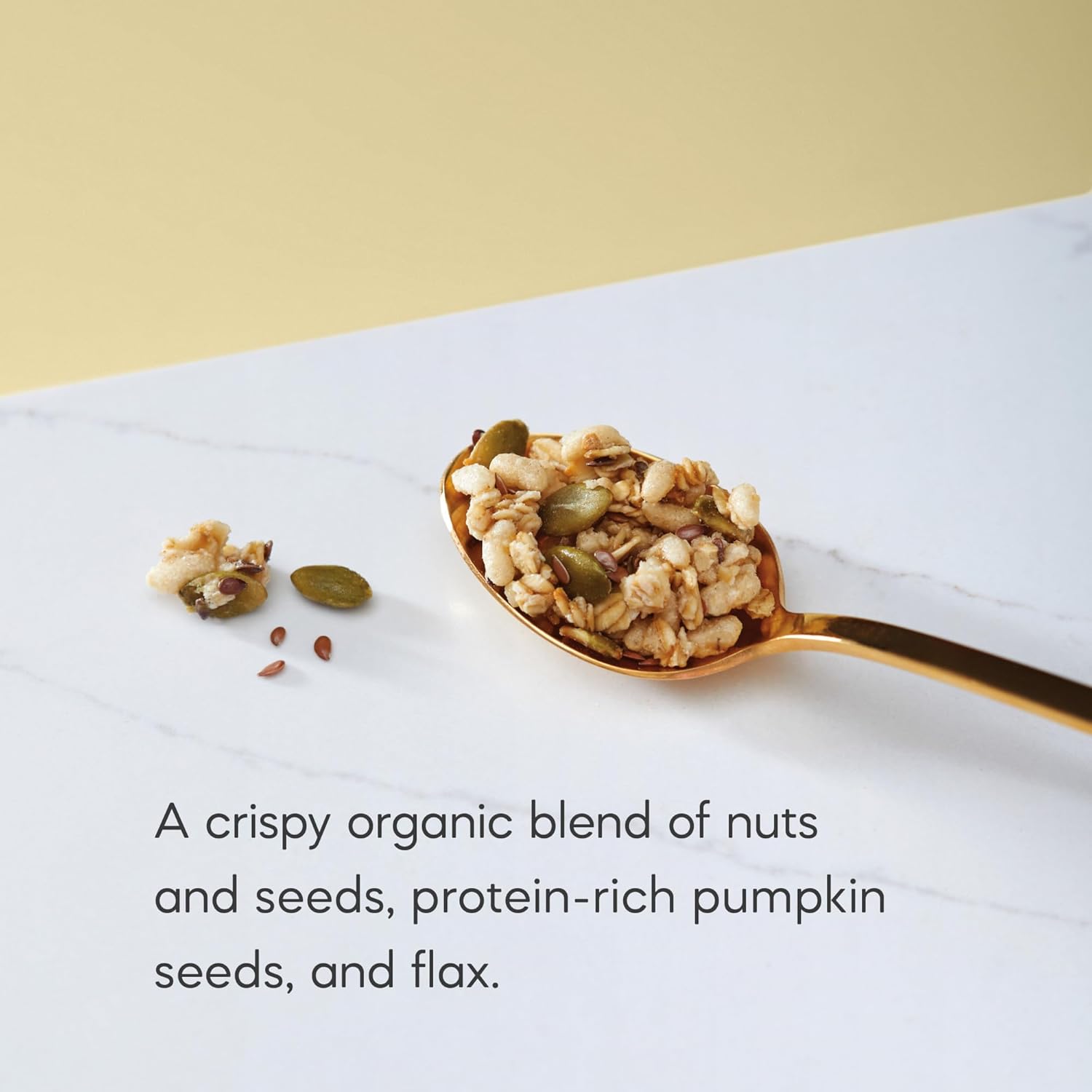 Nature's Path Organic Pumpkin Seed + Flax Granola, 24.7 oz (Pack of 1)