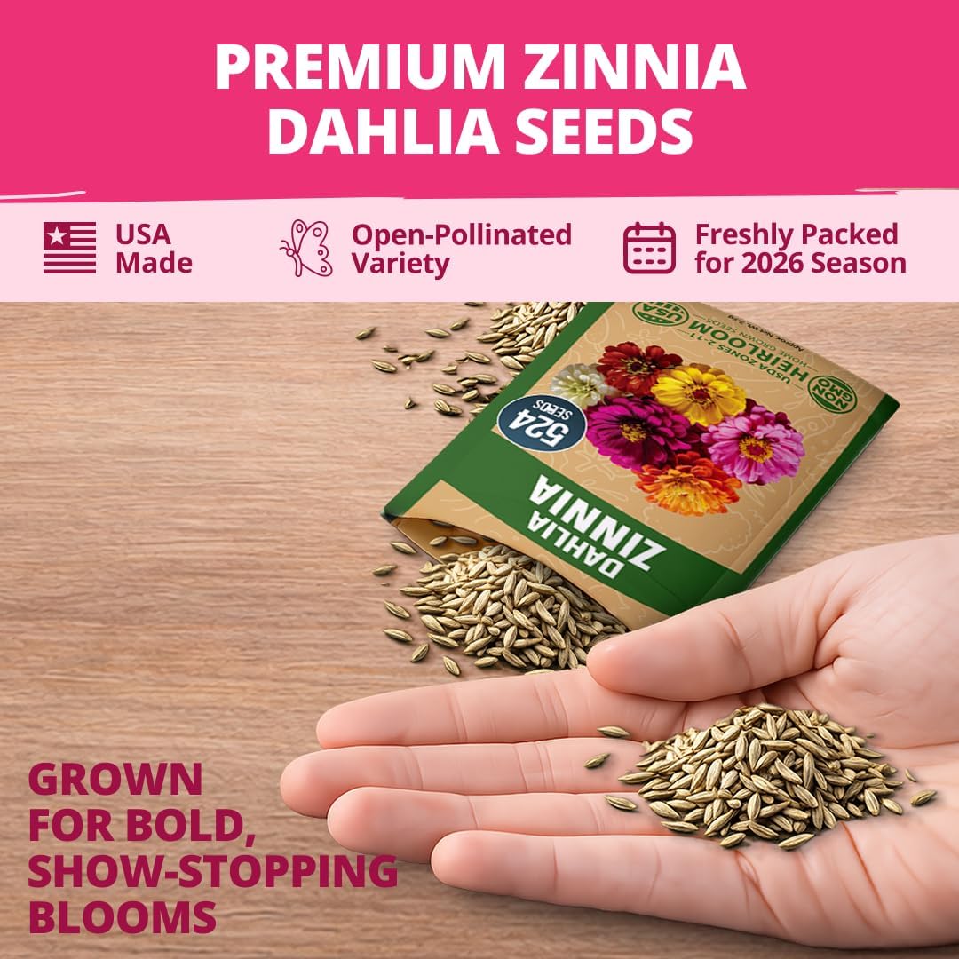 HOME GROWN Zinnia Dahlia Seeds Pack for 2026 Non GMO 524 Flower Seeds