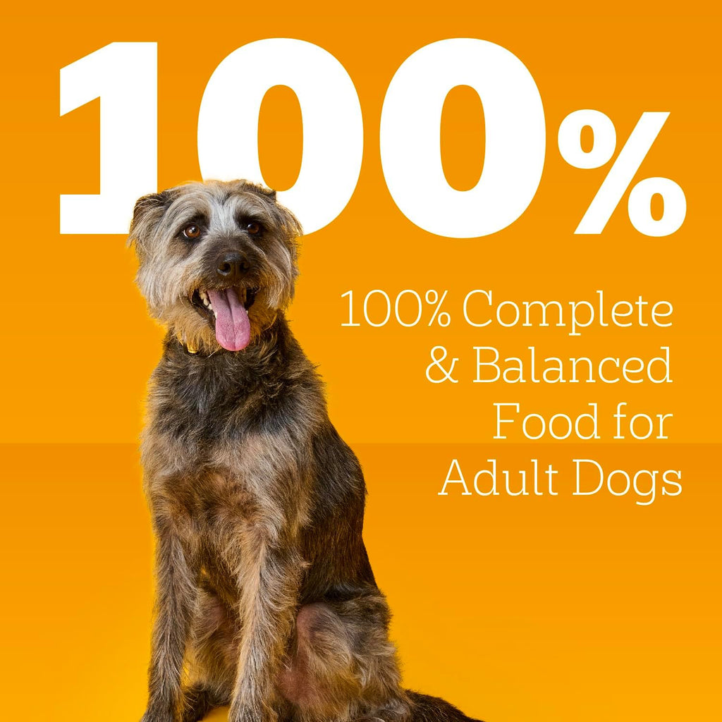 Pedigree Wet Dog Food, Choice Cuts Adult Canned Dog Food, Beef & Country Stew