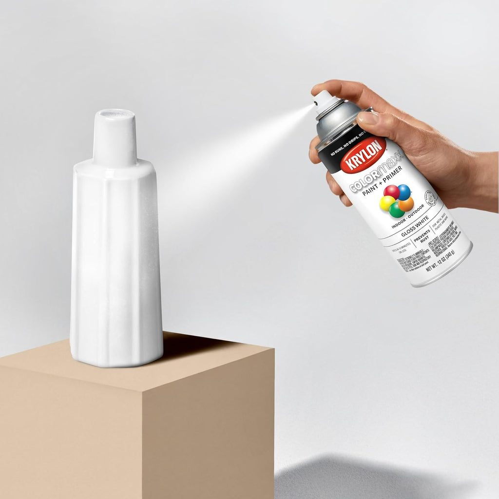 Krylon K05545007 COLORmaxx Spray Paint and Primer for Indoor/Outdoor Use