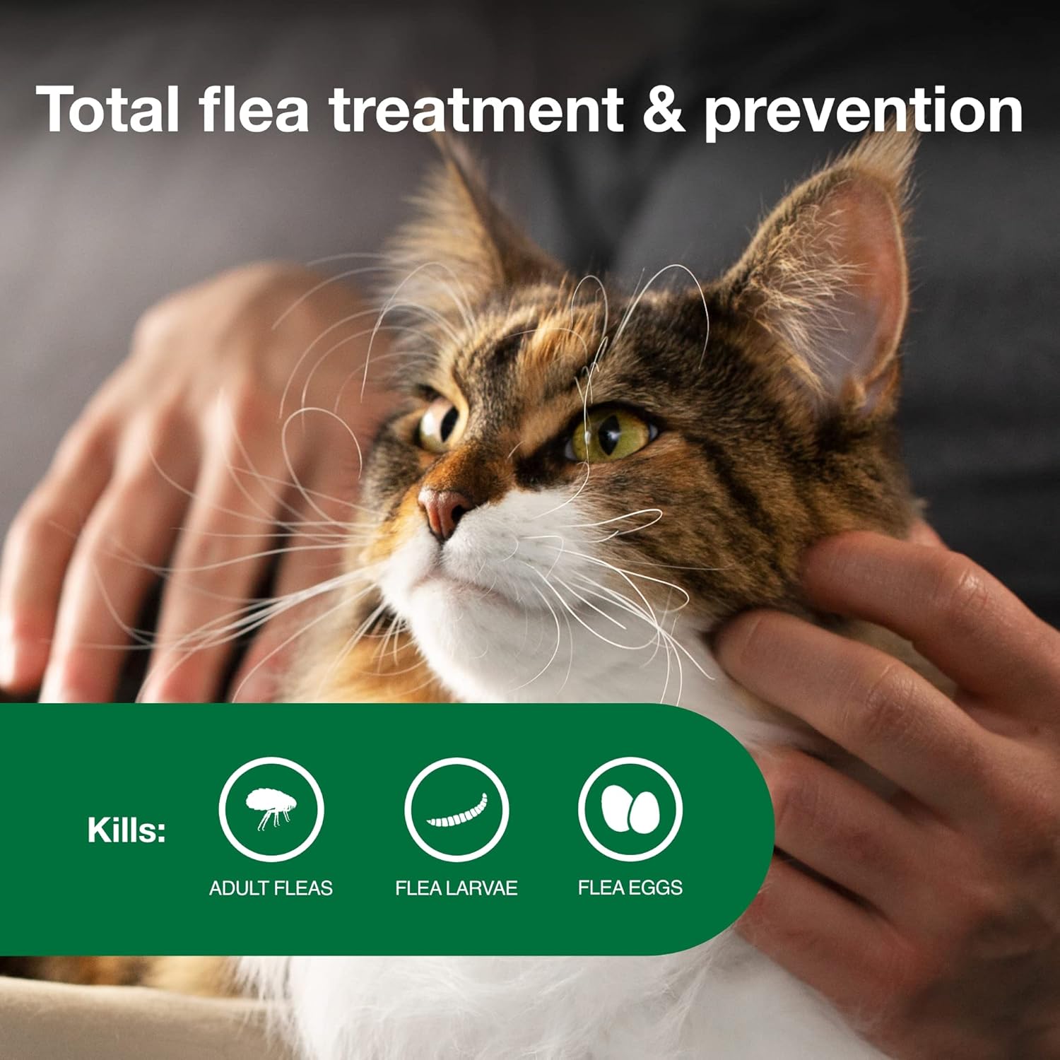 Advantage II Large Cat Vet-Recommended Flea Treatment & Prevention