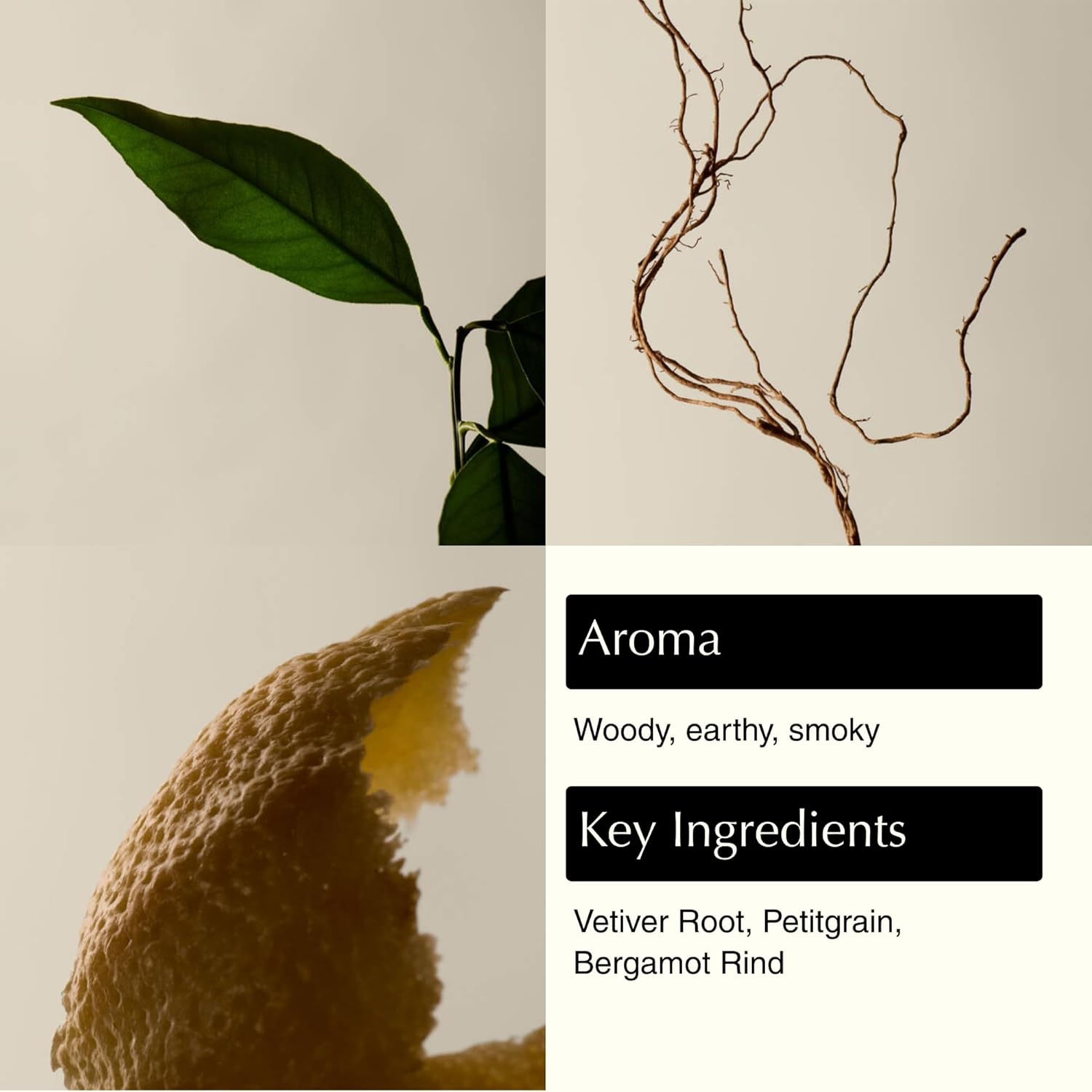 Aesop Reverence Aromatique Exfoliating Hand Wash
