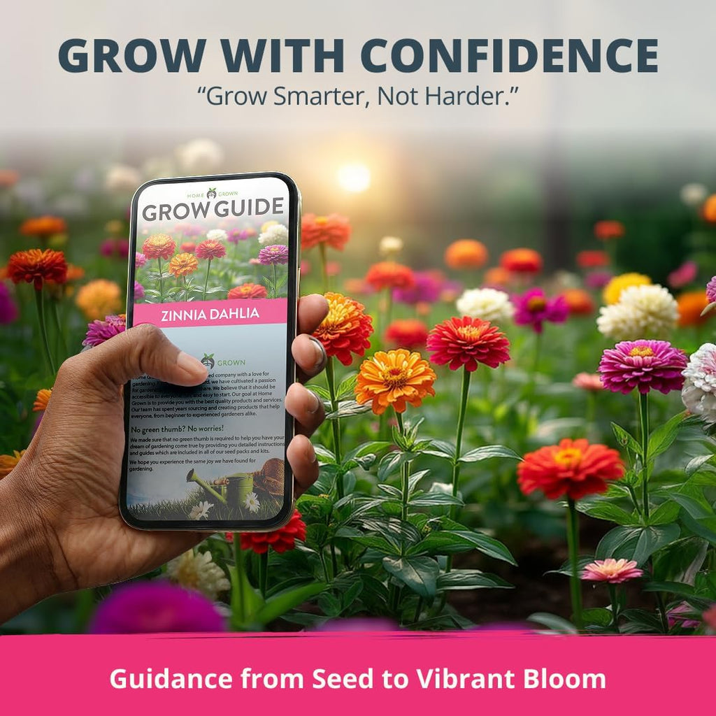 HOME GROWN Zinnia Dahlia Seeds Pack for 2026 Non GMO 524 Flower Seeds