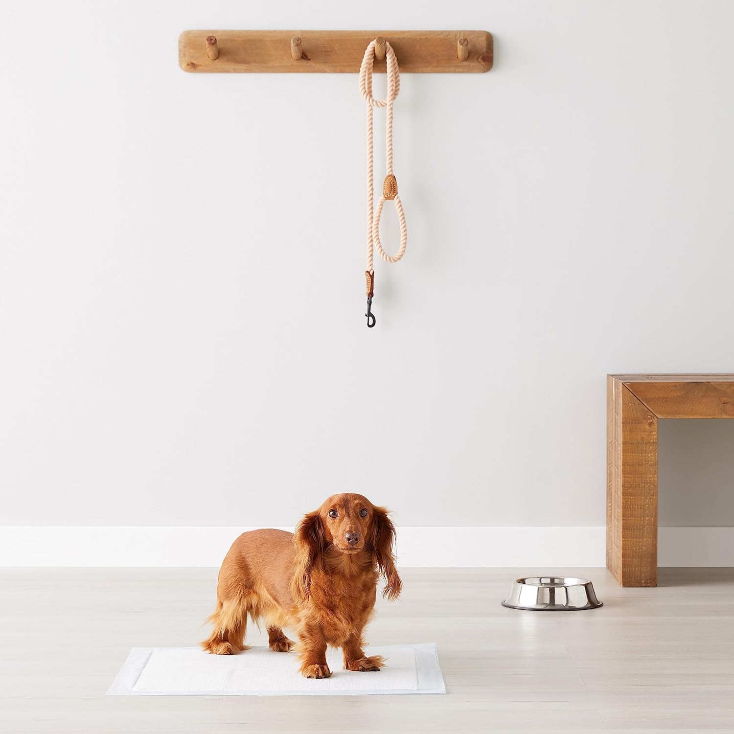 Amazon Basics Leak-Proof Dog and Puppy Potty Training Pee Pads with Quick-Dry
