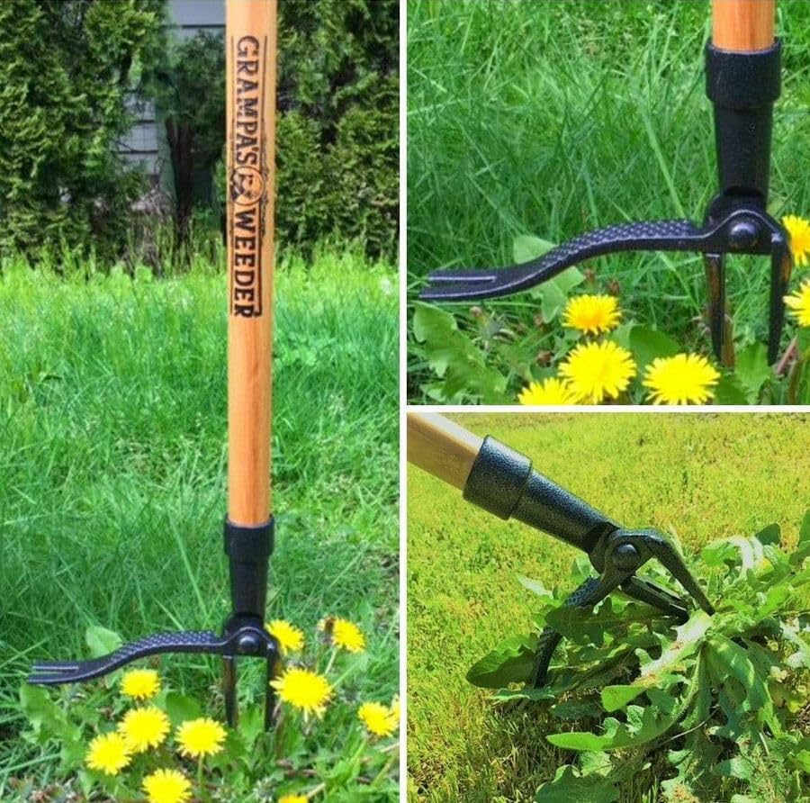 Grampa's Weeder - The Original Stand Up Weed Puller Tool with Long Handle