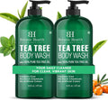 Botanic Hearth Tea Tree Body Wash 16 fl oz (2 Pack) Natural Antifungal & Odor Control Shower Gel for Acne, Athlete‰۪s Foot, Ringworm, Jock Itch, Healthy Skin, Sulfate & Paraben Free, for Men & Women