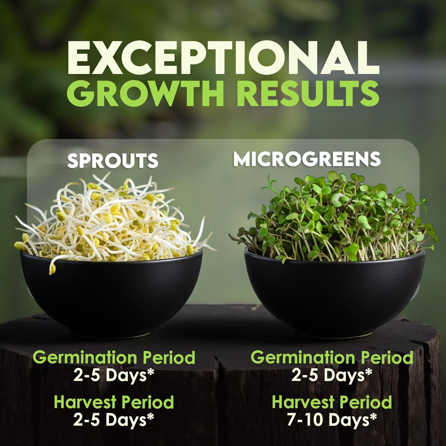 Nature Jim‰۪s Sprouts Organic Salad Mix ‰ÛÒ Non-GMO Microgreen Seeds, Perfect for Growing Nutritious Organic Broccoli, Alfalfa, Radish & Clover Sprouts ‰ÛÒ Easy Indoor/Outdoor Home Sprouting Seeds ‰ÛÒ 1lb
