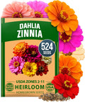 HOME GROWN Zinnia Dahlia Seeds Pack for 2026 Non GMO 524 Flower Seeds