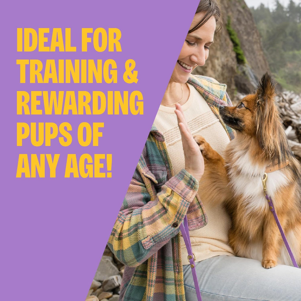 Wellness Puppy Treats, Natural, Training Treat, Grain Free, Soft Lamb &