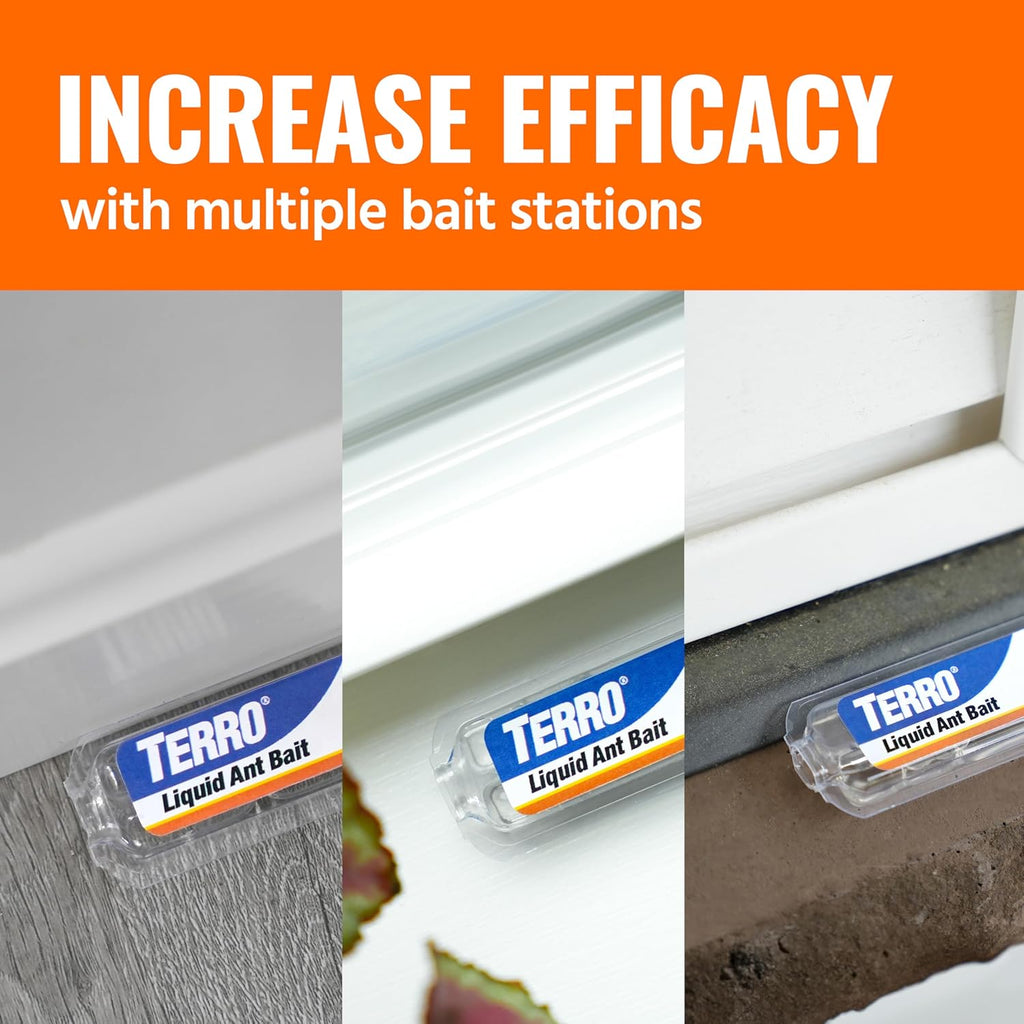 TERRO Ant Killer Bait Stations T300B - Liquid Bait to Eliminate Ants - Bait