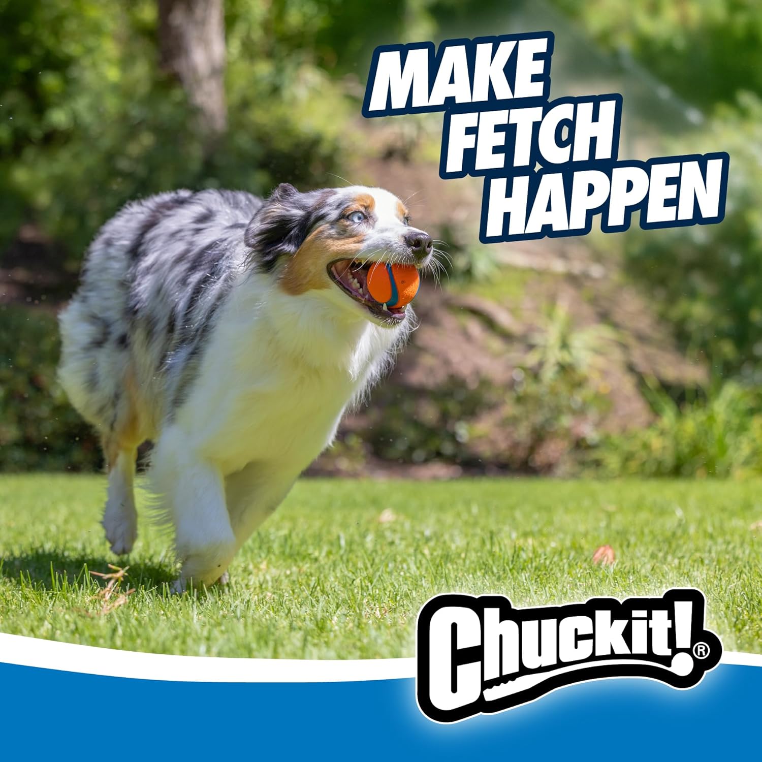 Chuckit! Ultra Ball Dog Toy - Medium Bouncy Fetch Balls For Dogs 20-60 lbs