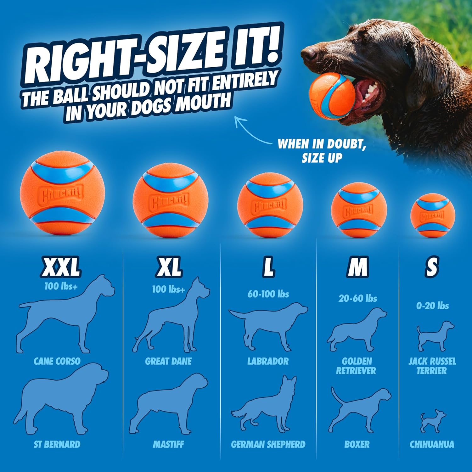 Chuckit! Ultra Ball Dog Toy - Medium Bouncy Fetch Balls For Dogs 20-60 lbs