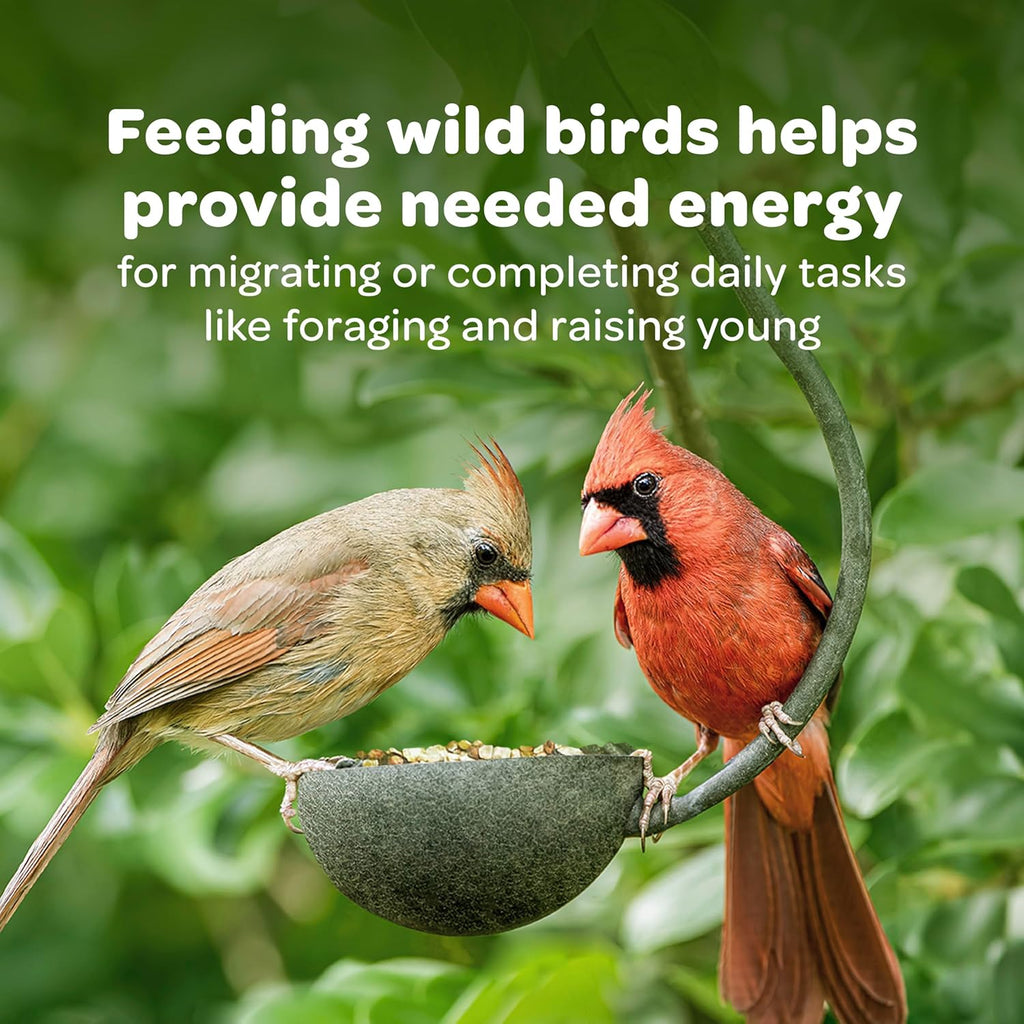 Kaytee All American Wild Bird Food Seed Blend for Cardinals, Blue Jays