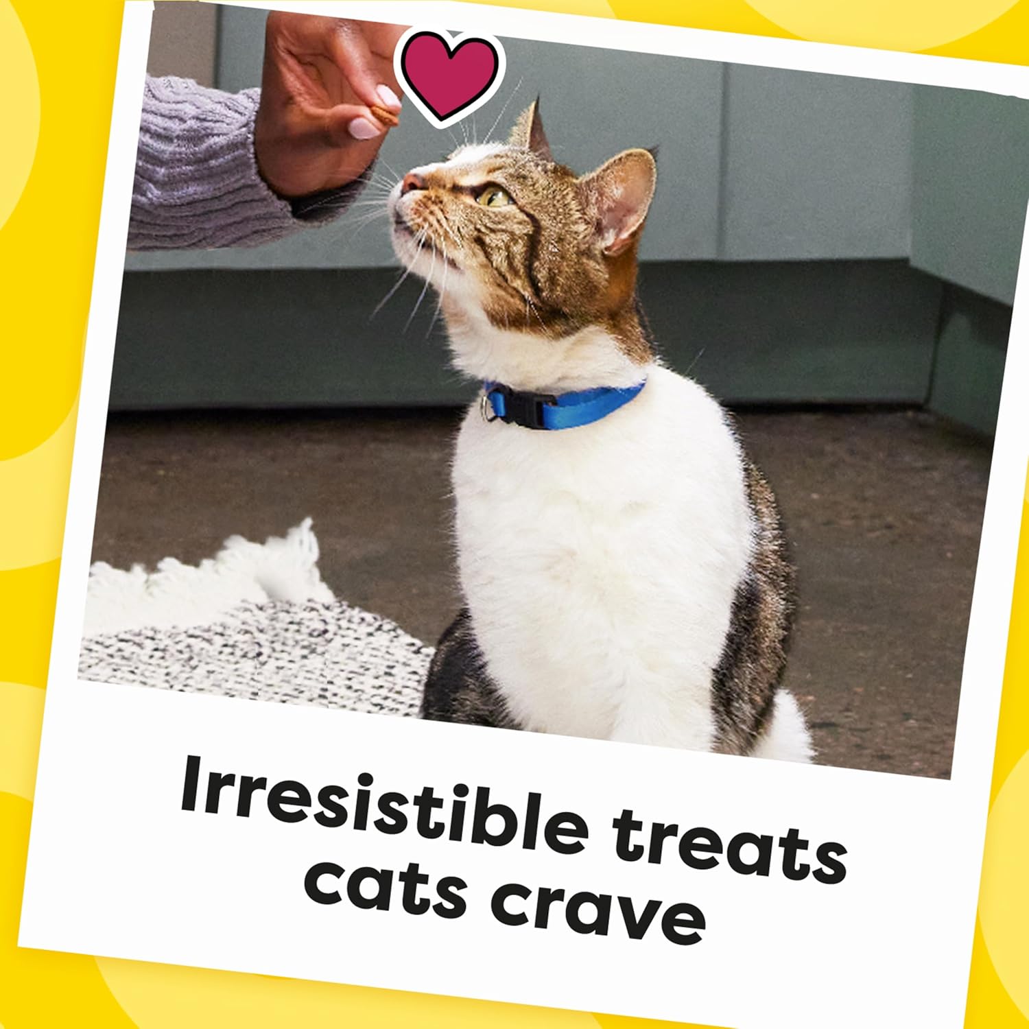 Temptations Cat Treats Classic Crunchy and Soft Cat Treats, Tasty Chicken