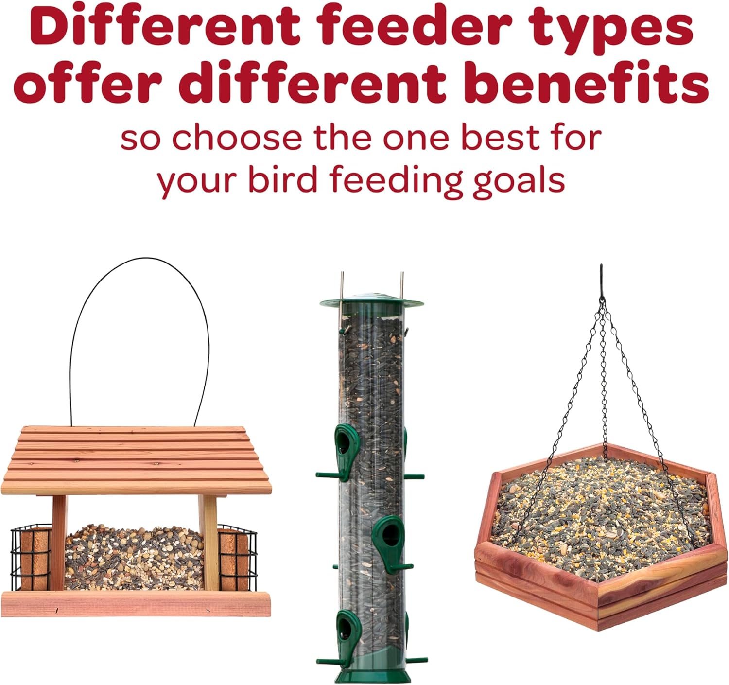 Kaytee All American Wild Bird Food Seed Blend for Cardinals, Blue Jays