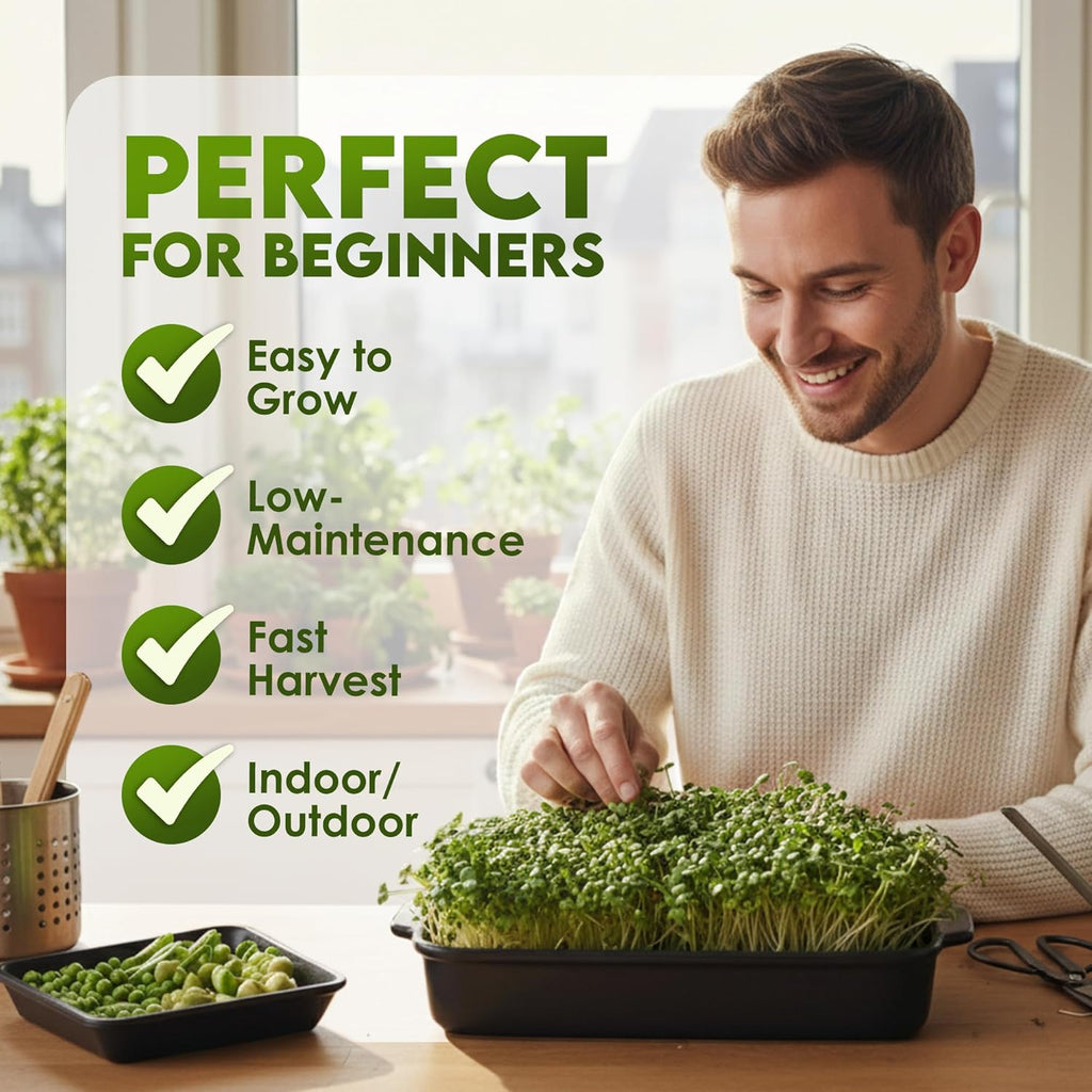 Nature Jim‰۪s Sprouts Organic Salad Mix ‰ÛÒ Non-GMO Microgreen Seeds, Perfect for Growing Nutritious Organic Broccoli, Alfalfa, Radish & Clover Sprouts ‰ÛÒ Easy Indoor/Outdoor Home Sprouting Seeds ‰ÛÒ 1lb