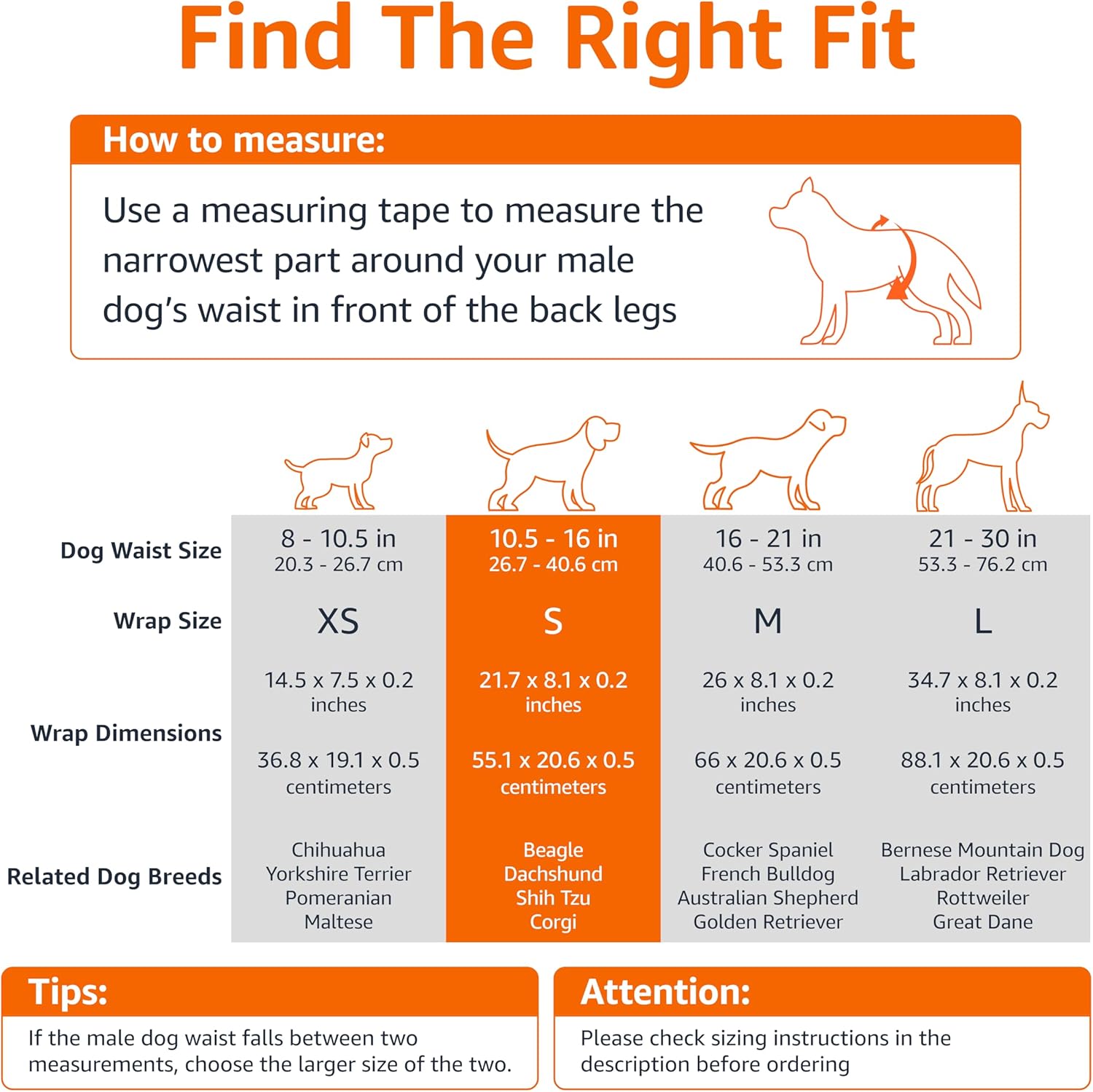 Amazon Basics Absorbent, Leakproof Male Dog Wrap Disposable Diapers with