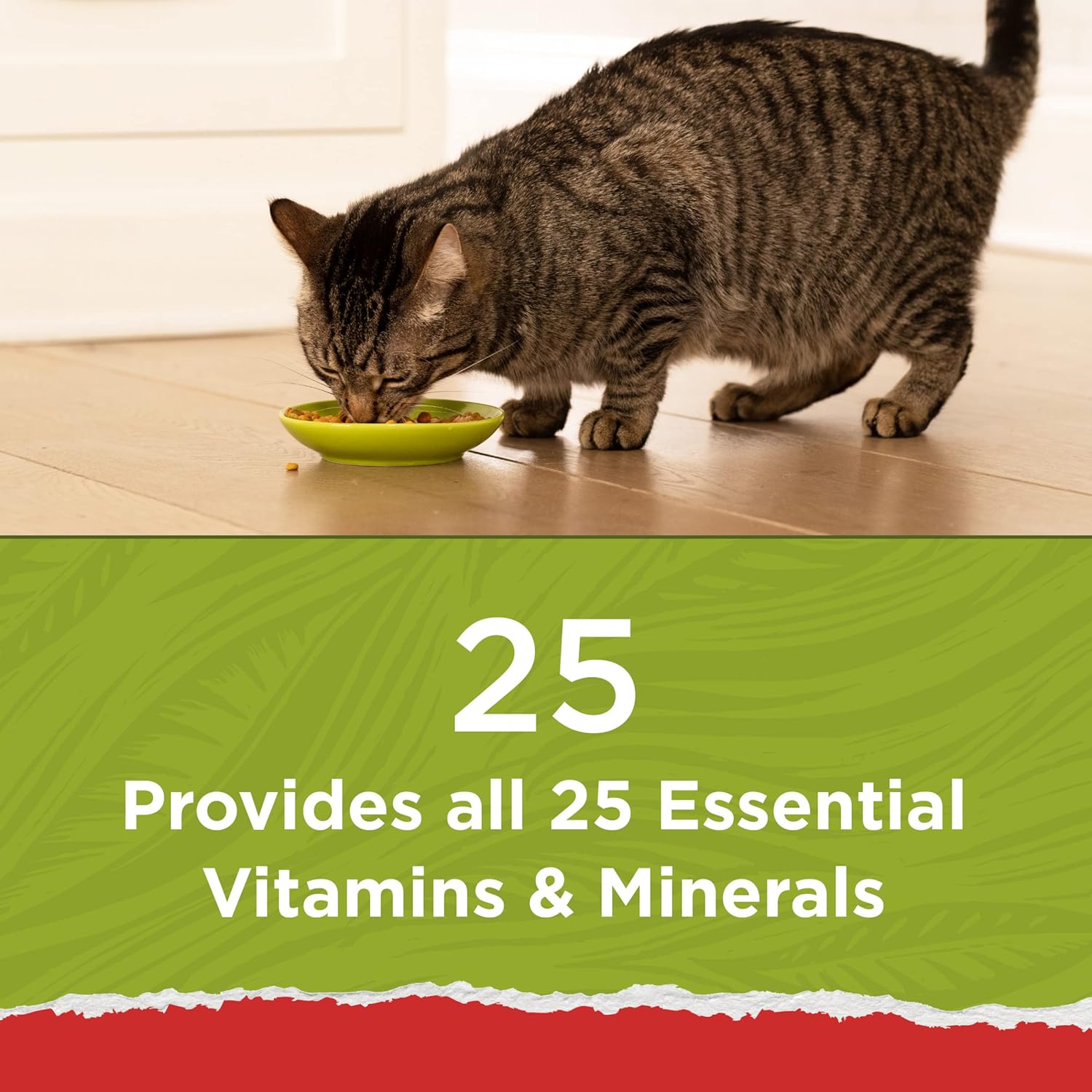Purina Cat Chow Naturals With Added Vitamins, Minerals and Nutrients Dry Cat
