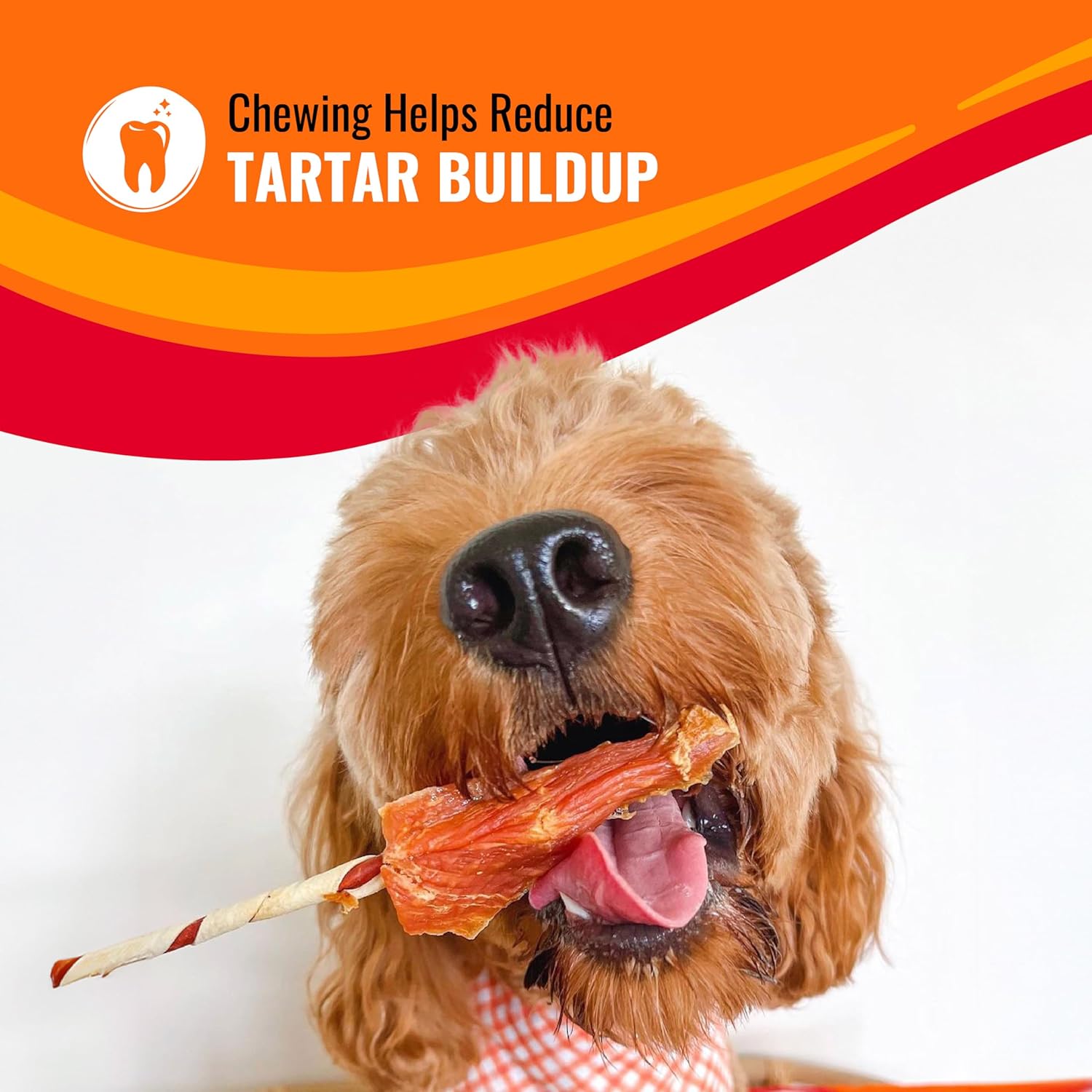Good ‰Û÷n‰۪ Fun Triple Flavor Kabobs Chews for All Dogs, 24 Ounces, Treat