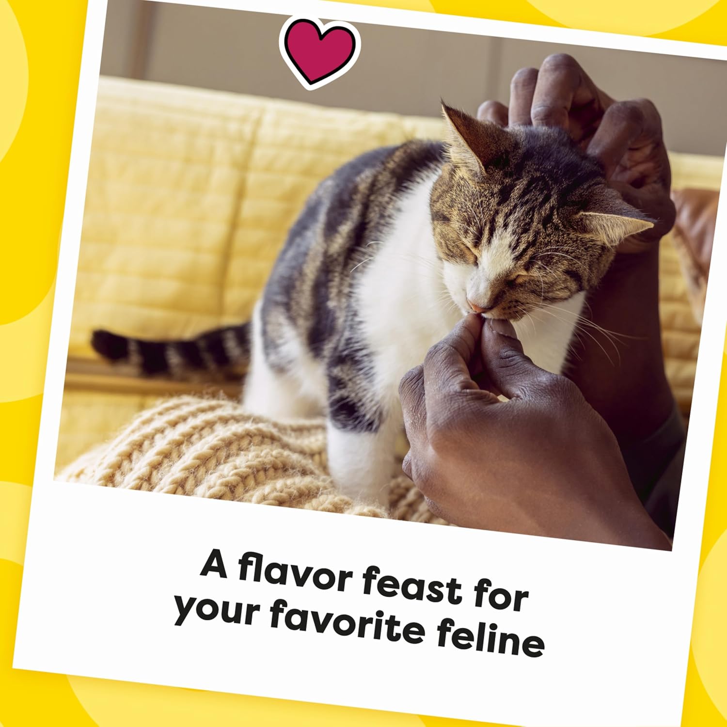 Temptations Cat Treats MixUps Surfer's Delight, Tuna, Shrimp, Salmon Flavor