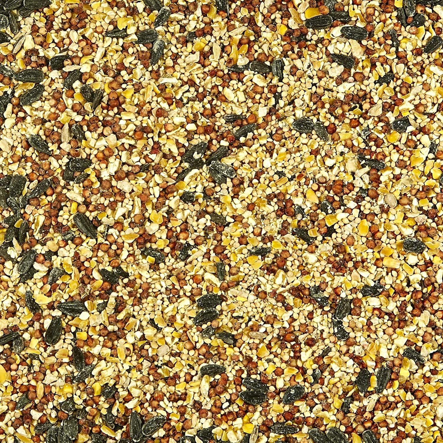 Kaytee All American Wild Bird Food Seed Blend for Cardinals, Blue Jays